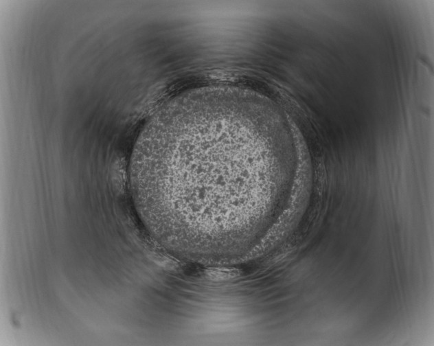 X0000099480707200806061246