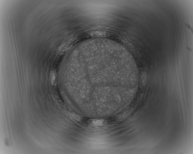 X0000099480709200806061246