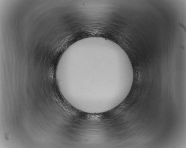 X0000099480710200806061246