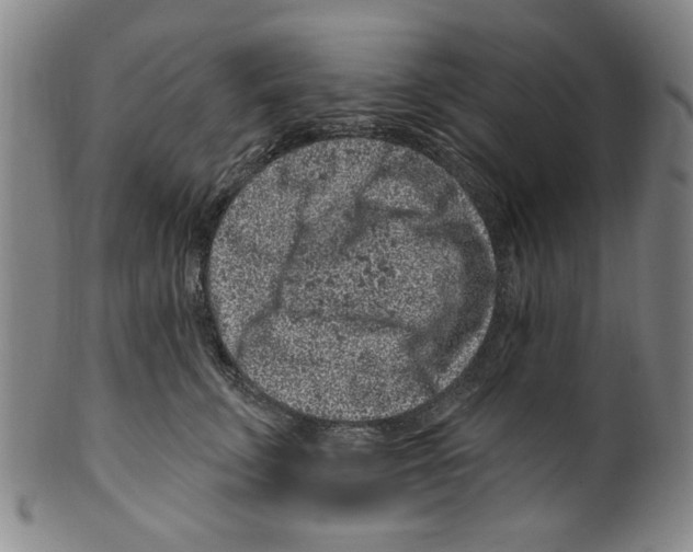 X0000099480711200806061245