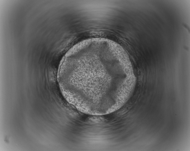 X0000099480712200806061245