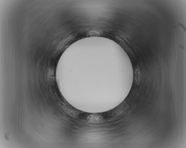 X0000099480714200806061245