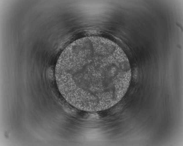 X0000099480715200806061245