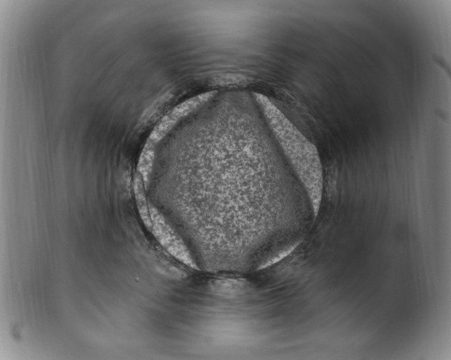 X0000099480716200806061245