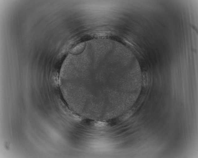 X0000099480718200806061245