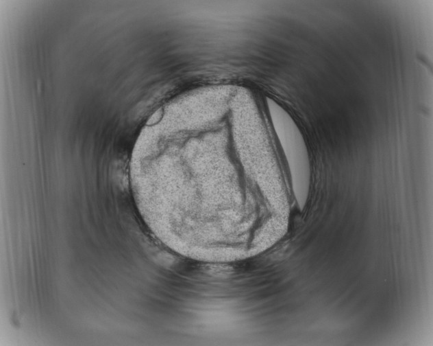 X0000099480719200806061245