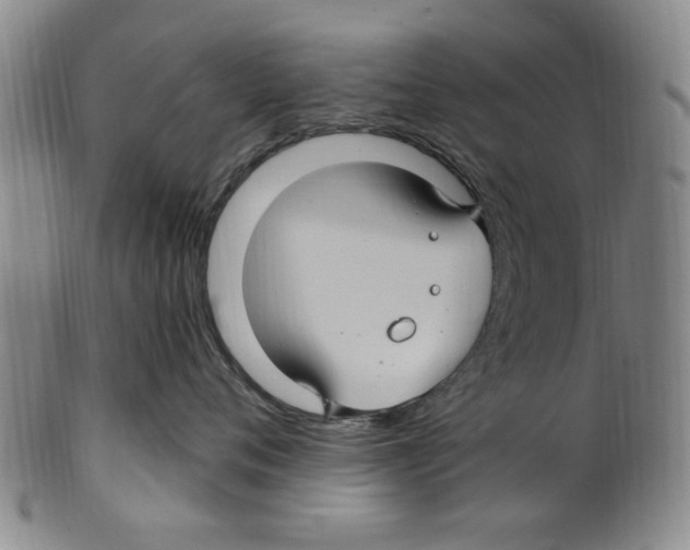 X0000099480720200806061245