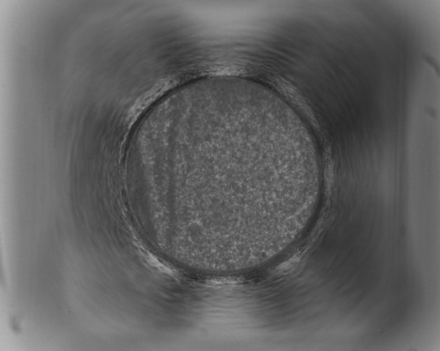 X0000099480721200806061245