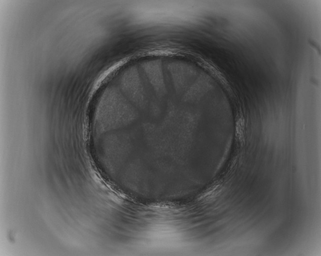 X0000099480724200806061245