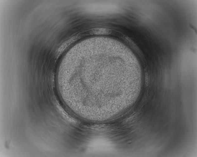 X0000099480725200806061245