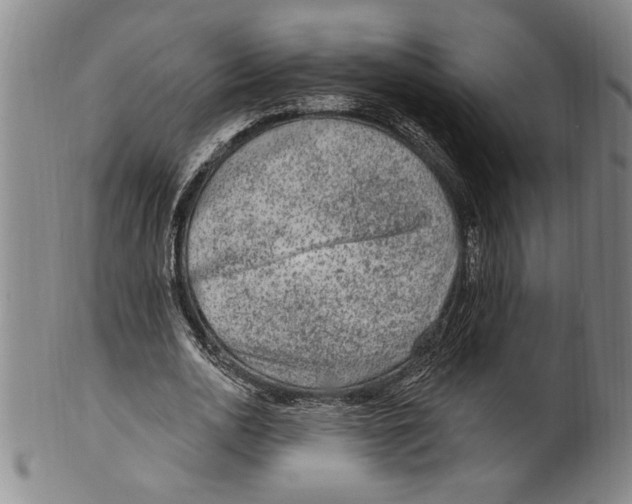 X0000099480726200806061245