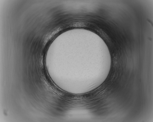X0000099480727200806061245