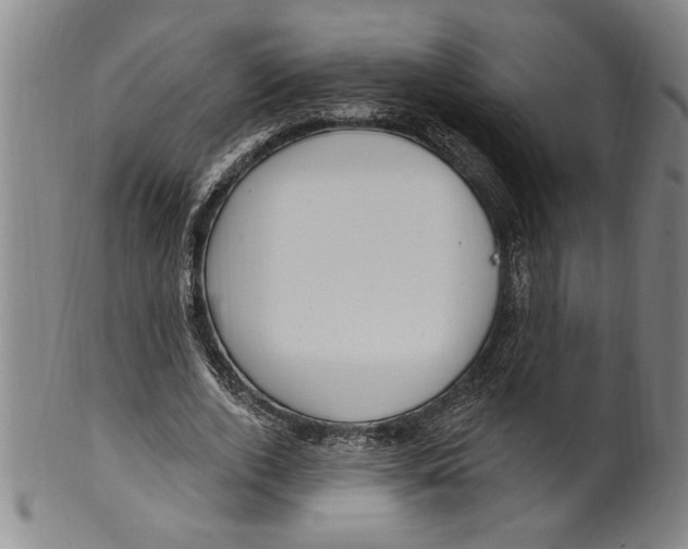 X0000099480728200806061245