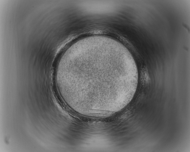 X0000099480730200806061245