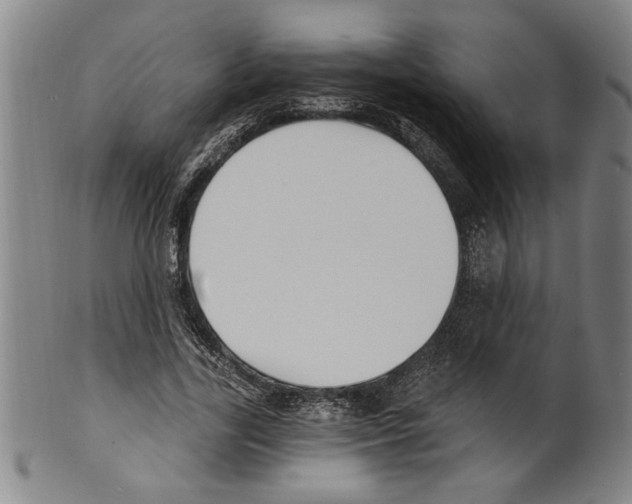 X0000099480731200806061245