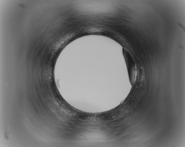 X0000099480732200806061245