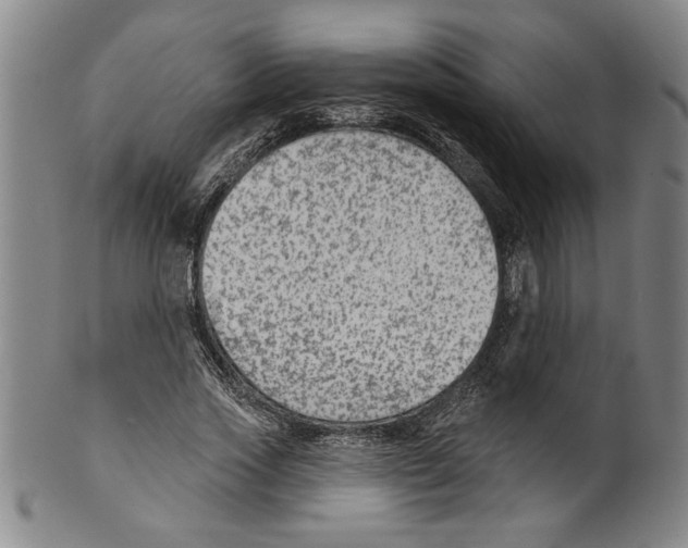 X0000099480733200806061245
