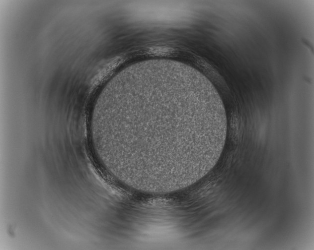 X0000099480734200806061245