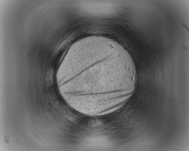 X0000099480735200806061245