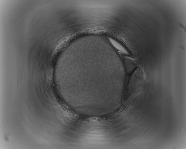 X0000099480736200806061245