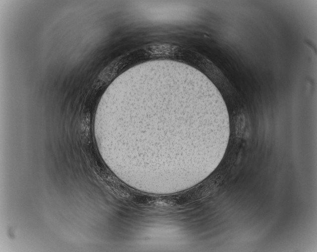 X0000099480737200806061245