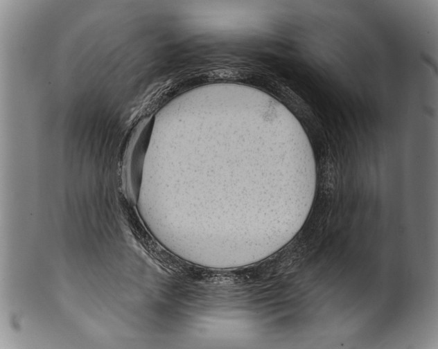 X0000099480738200806061245