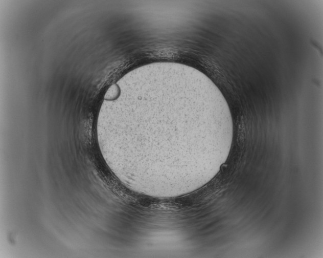 X0000099480739200806061245