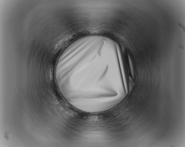 X0000099480740200806061245
