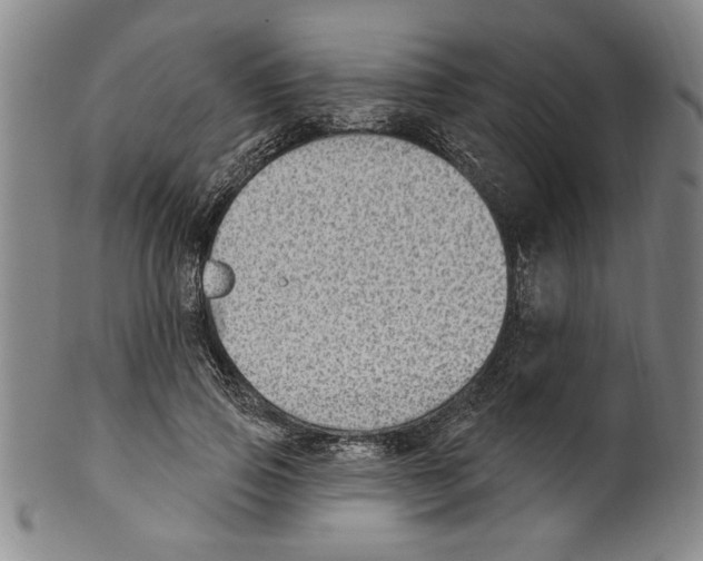 X0000099480741200806061245