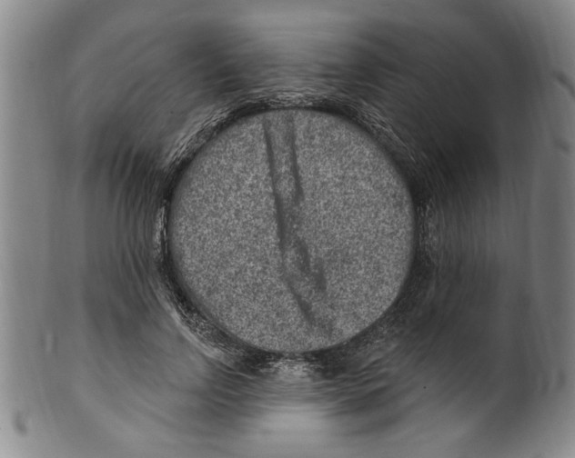 X0000099480742200806061245