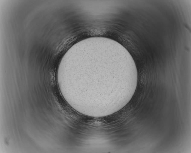 X0000099480743200806061245