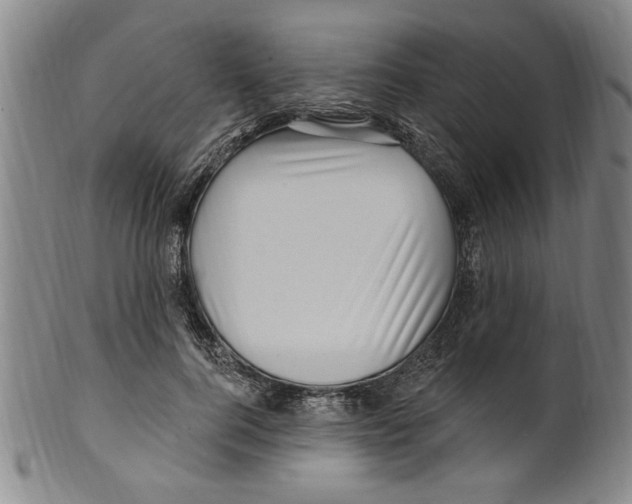 X0000099480744200806061245