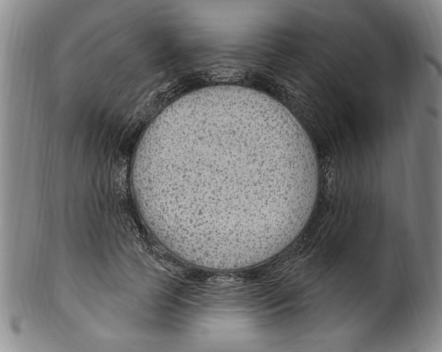 X0000099480745200806061245