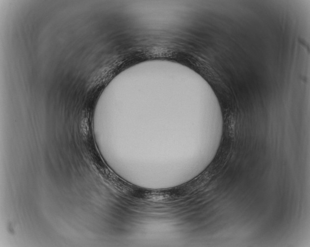 X0000099480746200806061245