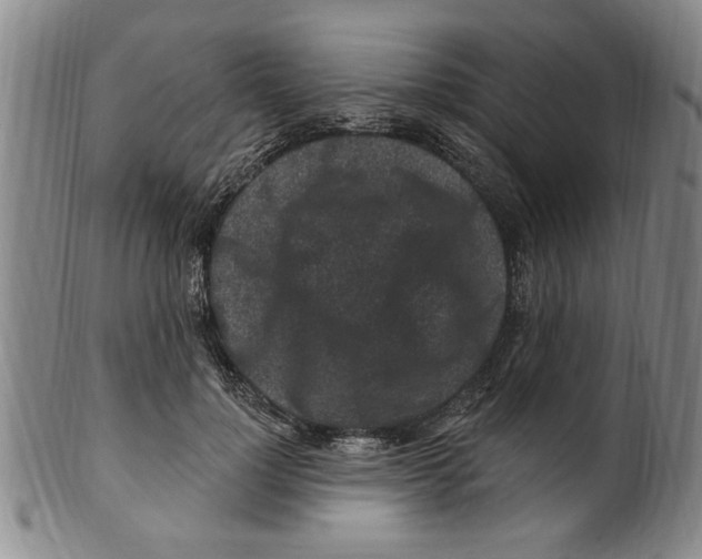 X0000099480748200806061245