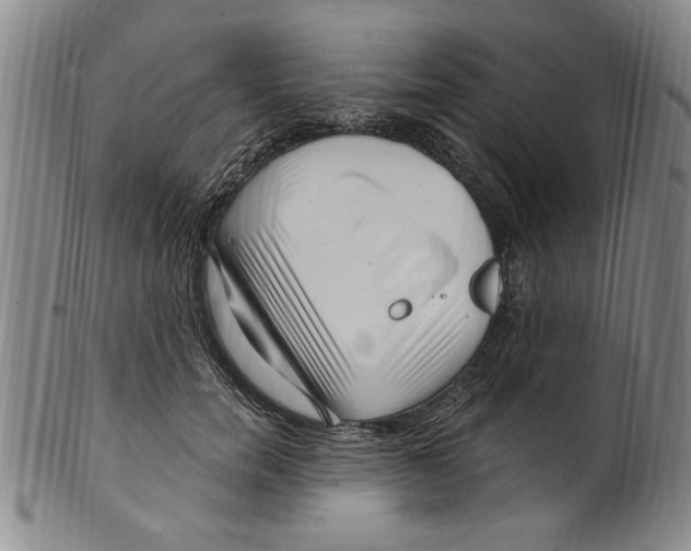X0000099480750200806061245