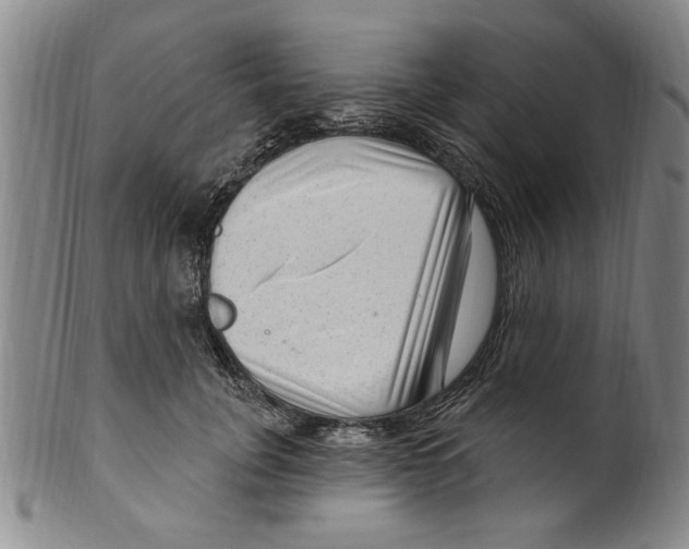 X0000099480751200806061245