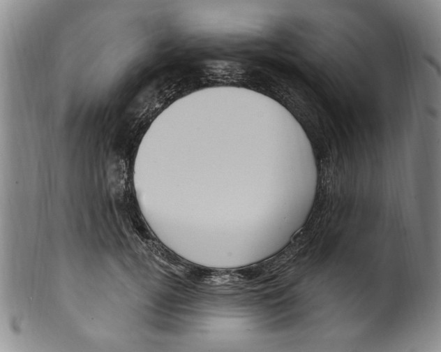 X0000099480752200806061245