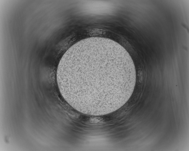 X0000099480753200806061245