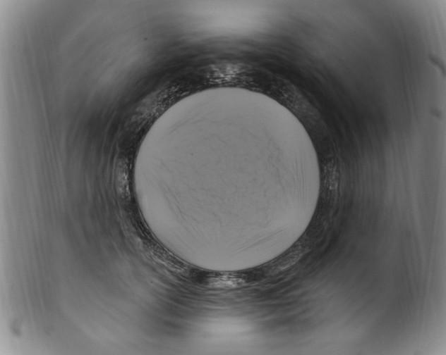 X0000099480754200806061245