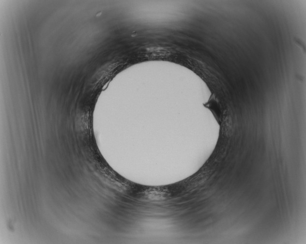 X0000099480756200806061245