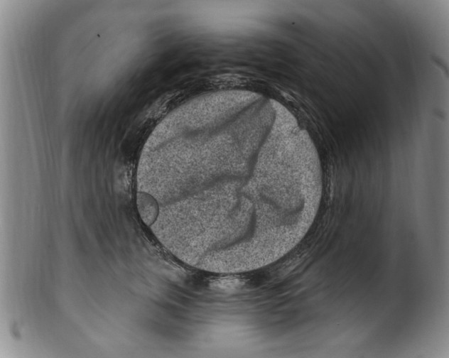 X0000099480759200806061245