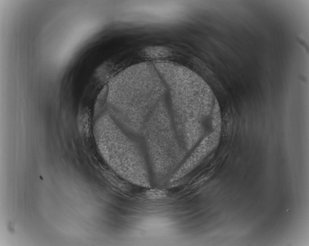 X0000099480762200806061245