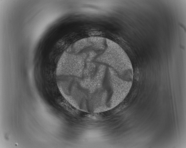 X0000099480763200806061245