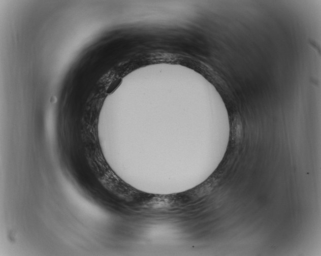 X0000099480764200806061245