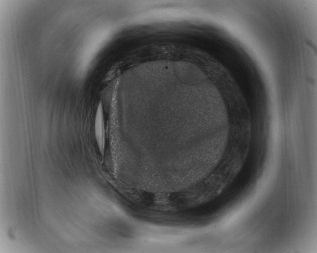X0000099480766200806061245