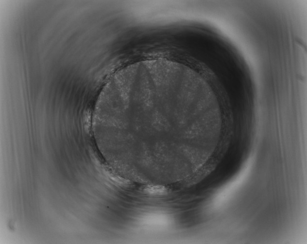 X0000099480767200806061245