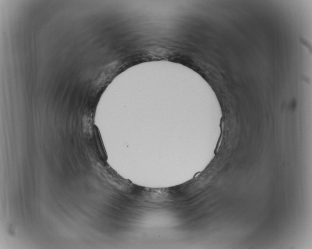 X0000099480768200806061245