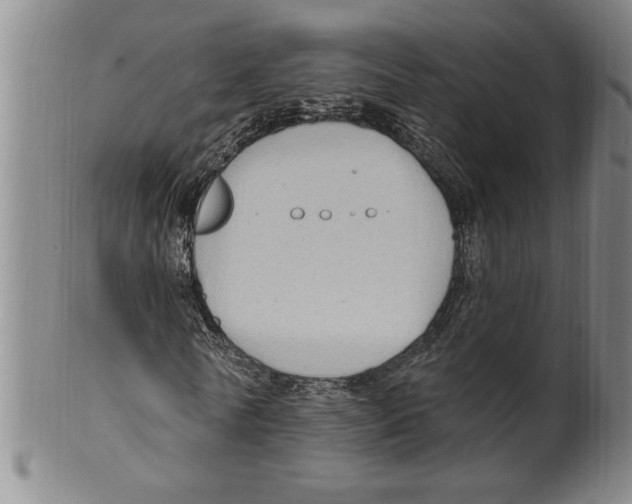 X0000099480770200806061244