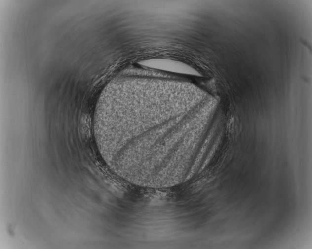 X0000099480772200806061244